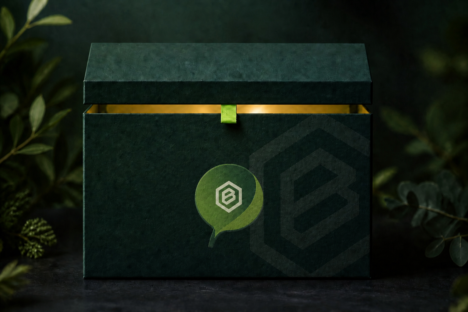 Betabox — marca e conceito de melhor pacote